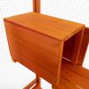 Large Cat Enclosure with 5 Perches, 2 Condos and 1 Lockable Door, Orange