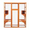 Large Cat Enclosure with 5 Perches, 2 Condos and 1 Lockable Door, Orange